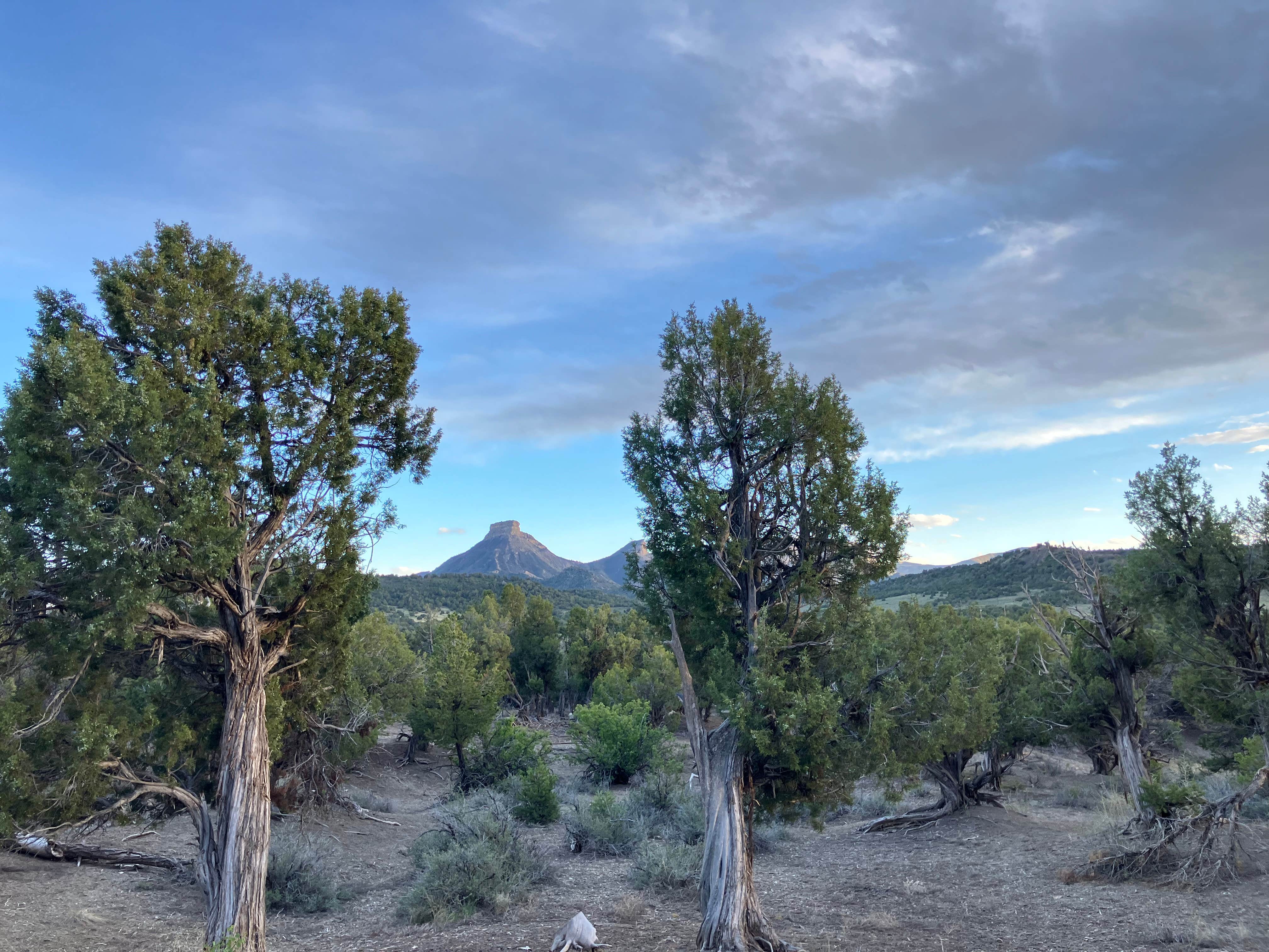 Camper-submitted photo at CR 34 Dispersed Campground near Shiprock, NM