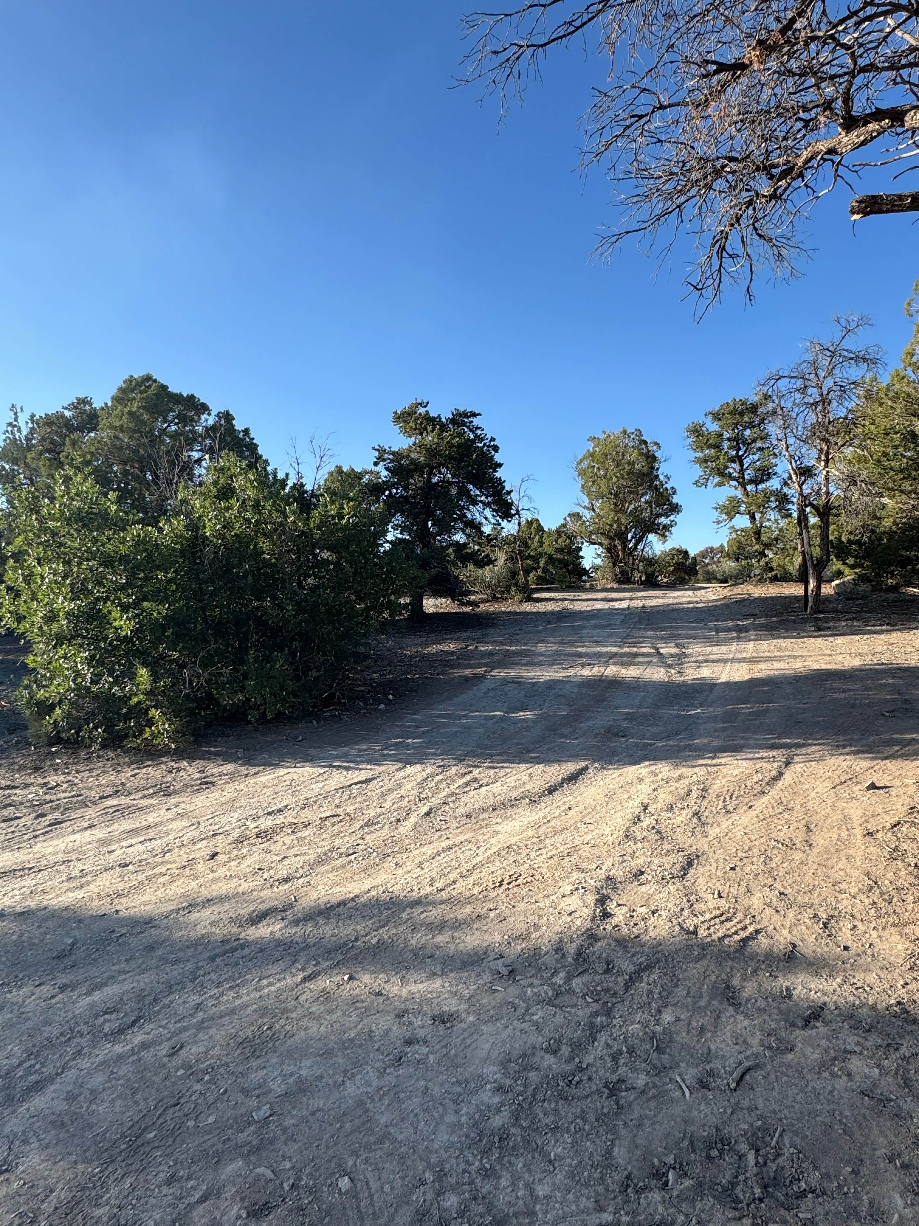 Camper submitted image from CR 34 Dispersed Campground - 4