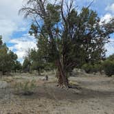 Review photo of CR 34 Dispersed Campground by Kathy S., May 24, 2026