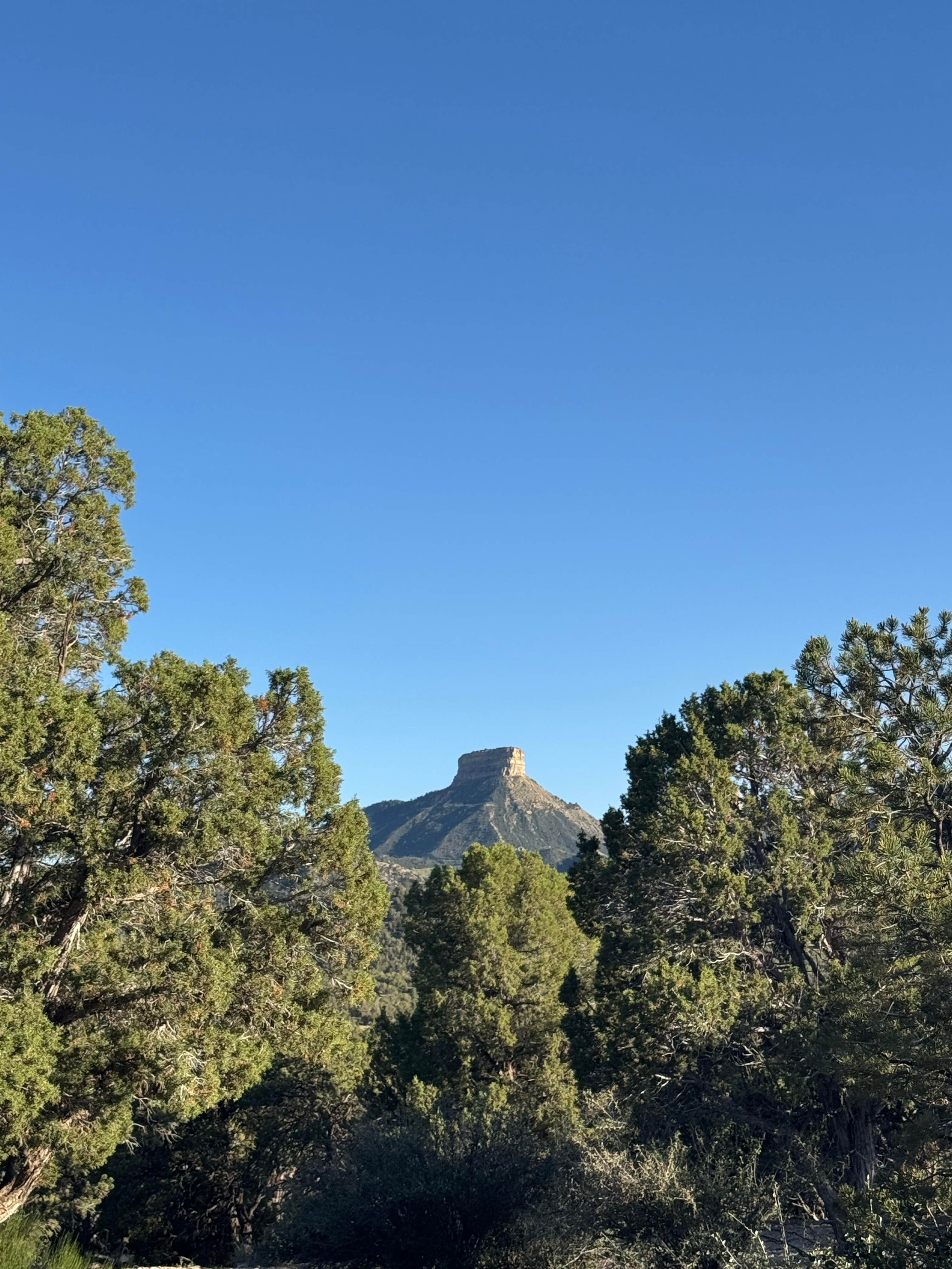 Camper-submitted photo at CR 34 Dispersed Campground near Shiprock, NM