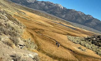 ADELA T.'s photo of camping with pets at Crab Cooker Hotsprings - Dispersed Camping near Bishop, CA
