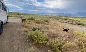Jules D.'s photo of camping with pets at Crab Cooker Hotsprings - Dispersed Camping near Bishop, CA