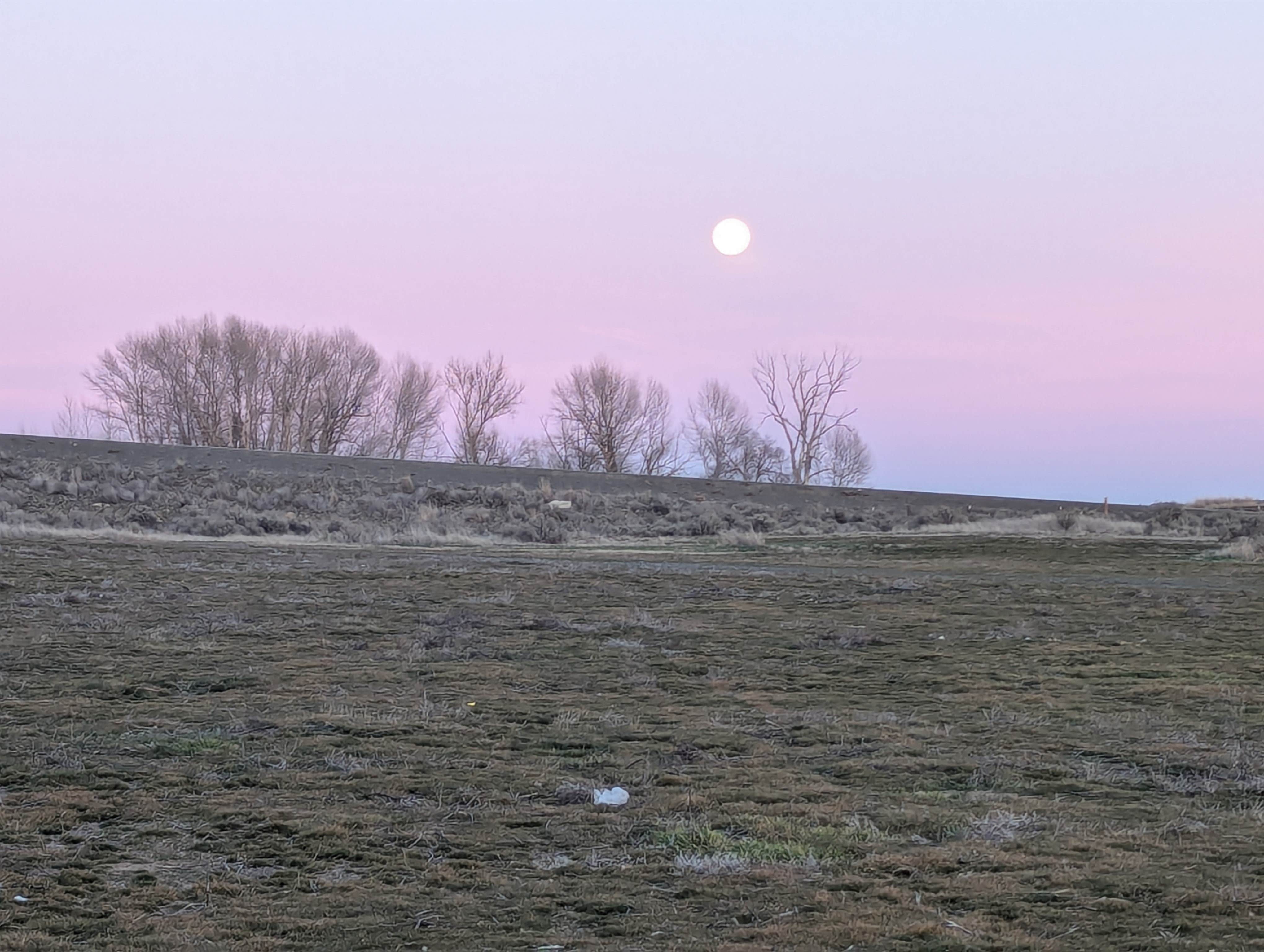 Camping near Hog Lake Campground: Crab Creek at Rocky Ford, Sprague, Washington