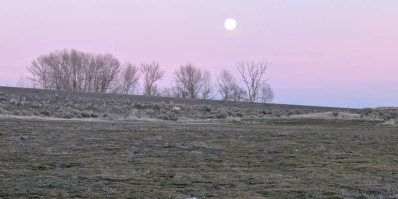 Camper submitted image from Crab Creek at Rocky Ford