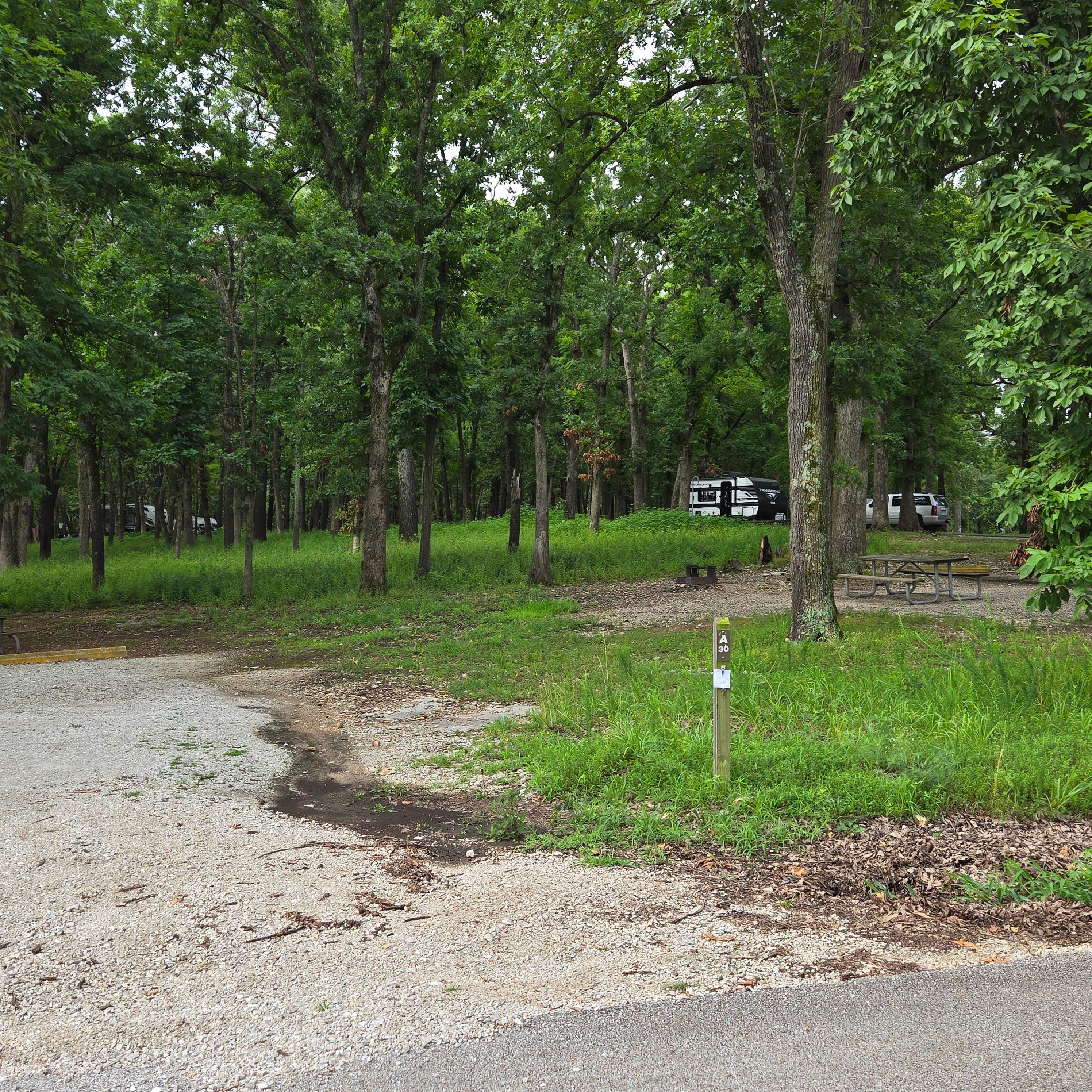 Camper submitted image from Crabtree Cove, Stockton Lake, MO - 1