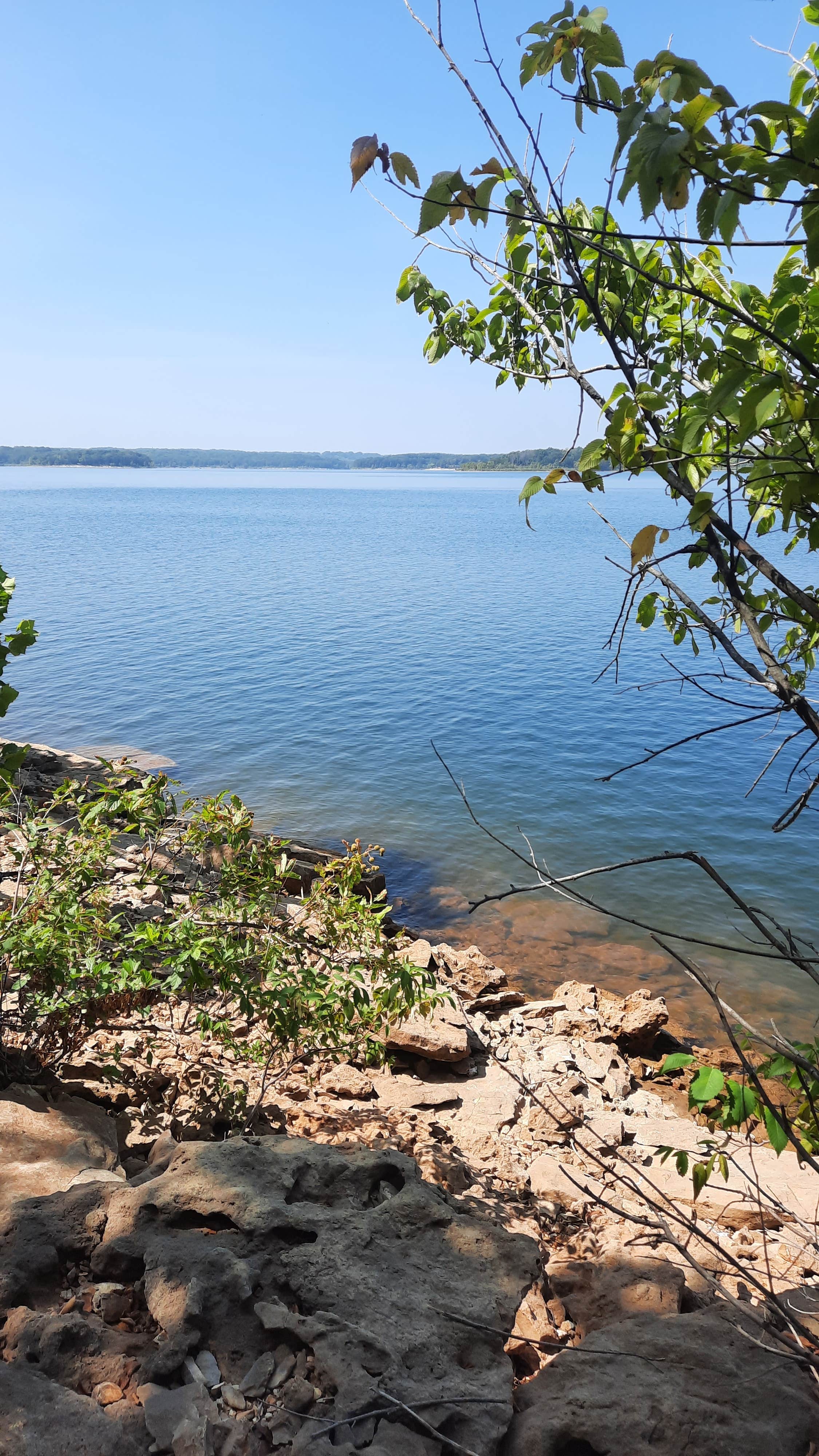 Camper-submitted photo at Crabtree Cove, Stockton Lake, MO near Dadeville, MO