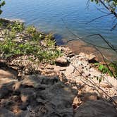 Review photo of Crabtree Cove, Stockton Lake, MO by Rebecca L., September 11, 2025