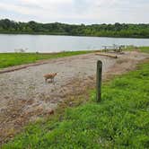 Review photo of Crabtree Cove, Stockton Lake, MO by Rob G., August 7, 2025