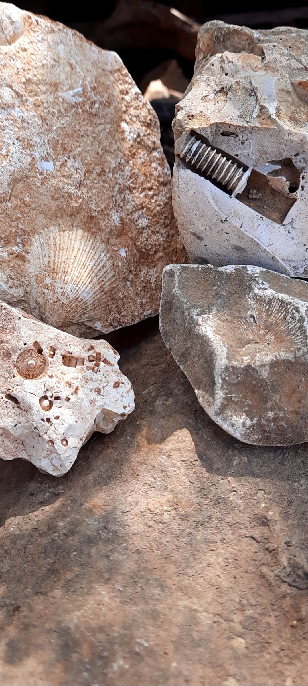 Camping near Arrowhead Point RV Park & Cabins Campground: Crabtree Cove, Stockton Lake, MO, Stockton, Missouri