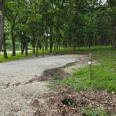 Review photo of Crabtree Cove, Stockton Lake, MO by Rob G., August 7, 2025