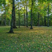 Review photo of Crabtree Falls Campground — Blue Ridge Parkway by tyrone T., October 4, 2023