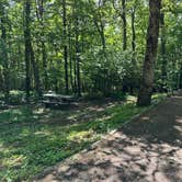 Review photo of Crabtree Falls Campground — Blue Ridge Parkway by Chris A., June 2, 2024