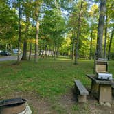 Review photo of Crabtree Falls Campground — Blue Ridge Parkway by tyrone T., October 4, 2023