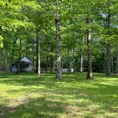 Review photo of Crabtree Falls Campground — Blue Ridge Parkway by Chris A., June 2, 2024