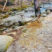 Review photo of Crabtree Falls Campground by Destiny C., September 28, 2023