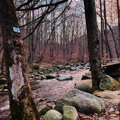 Camper-submitted photo at Crabtree Falls Campground near George Washington & Jefferson National Forests
