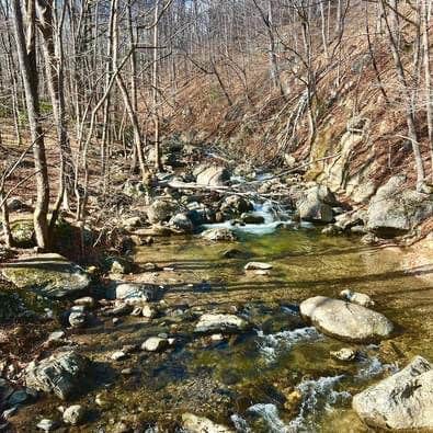 Camper-submitted photo at Crabtree Falls Campground near George Washington & Jefferson National Forests