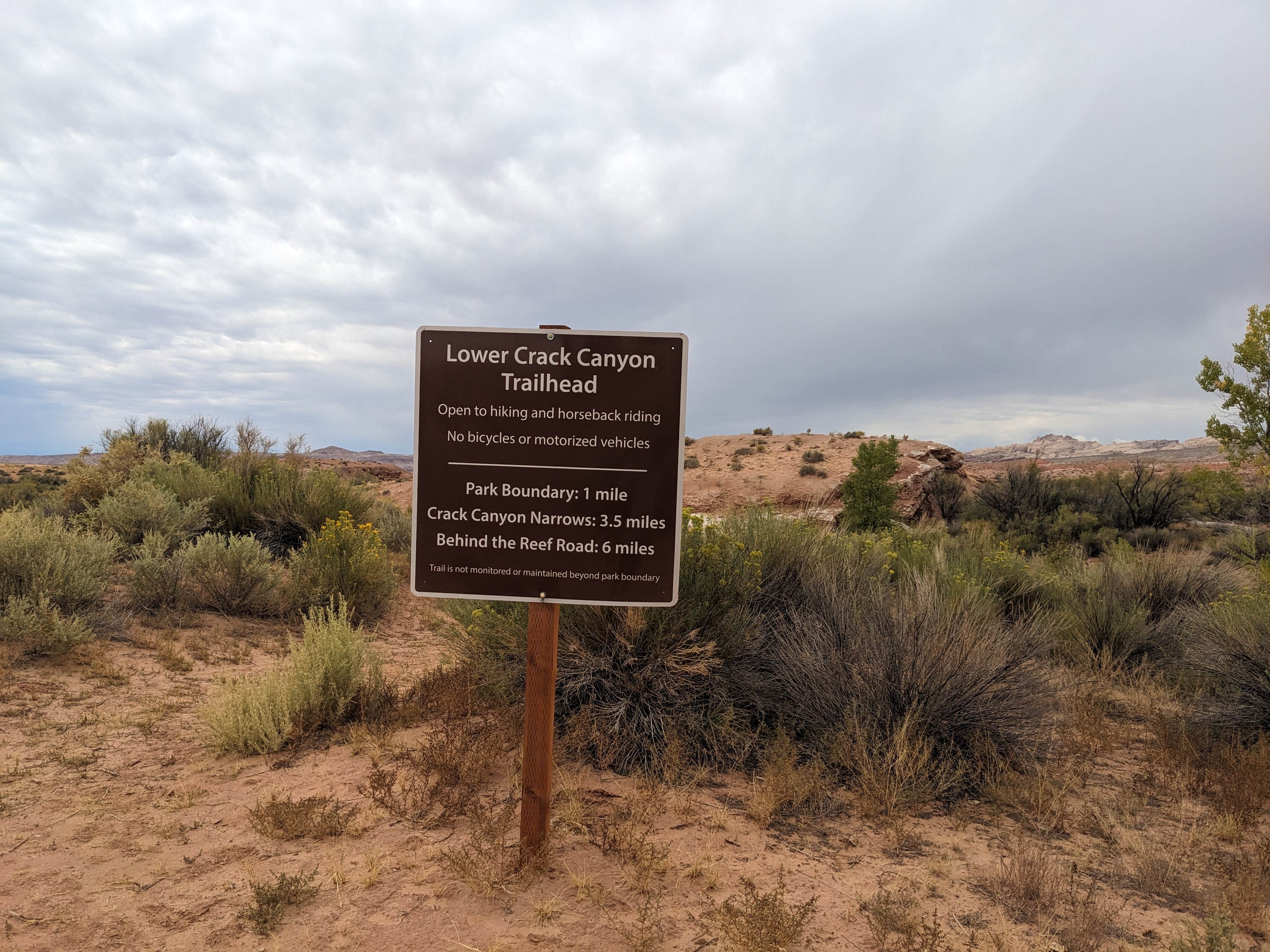 Camper submitted image from Crack Canyon dispersed n Goblin Valley - 1