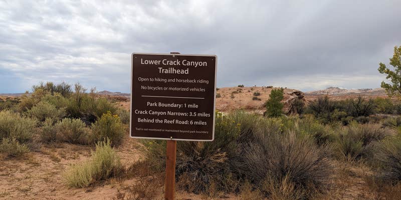 Camper submitted image from Crack Canyon dispersed n Goblin Valley