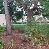 Review photo of Cracker Barrel — Stuart by Sandra L., December 4, 2025