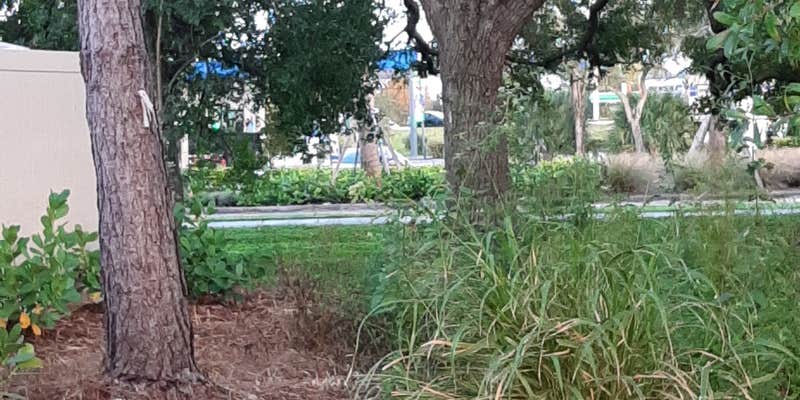 Camper submitted image from Cracker Barrel — Stuart