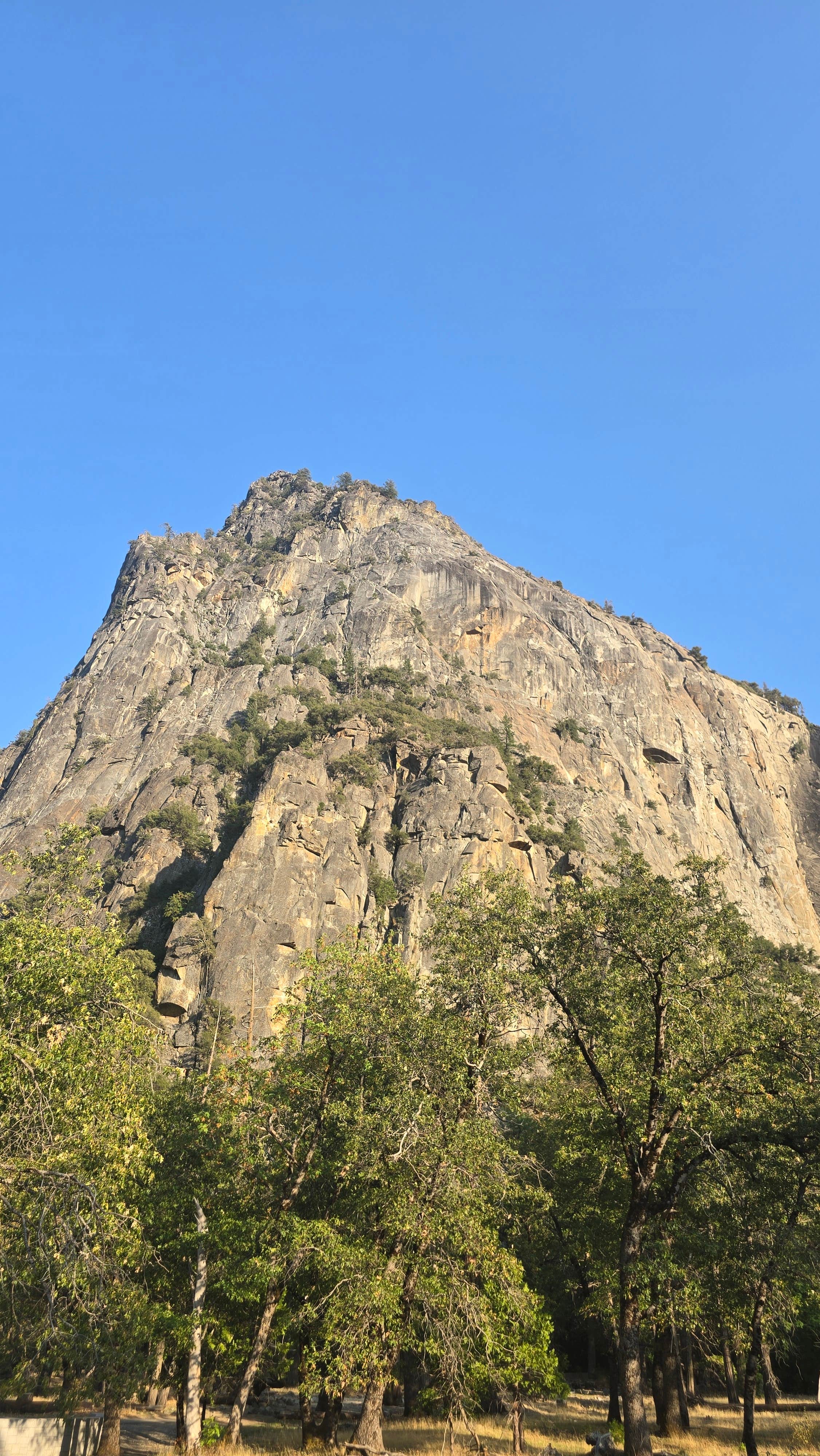 Camper submitted image from Crane Flat Campground - 1