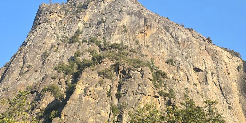 Camper submitted image from Crane Flat Campground