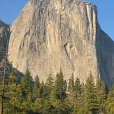 Review photo of Crane Flat Campground by Bob N., September 16, 2025