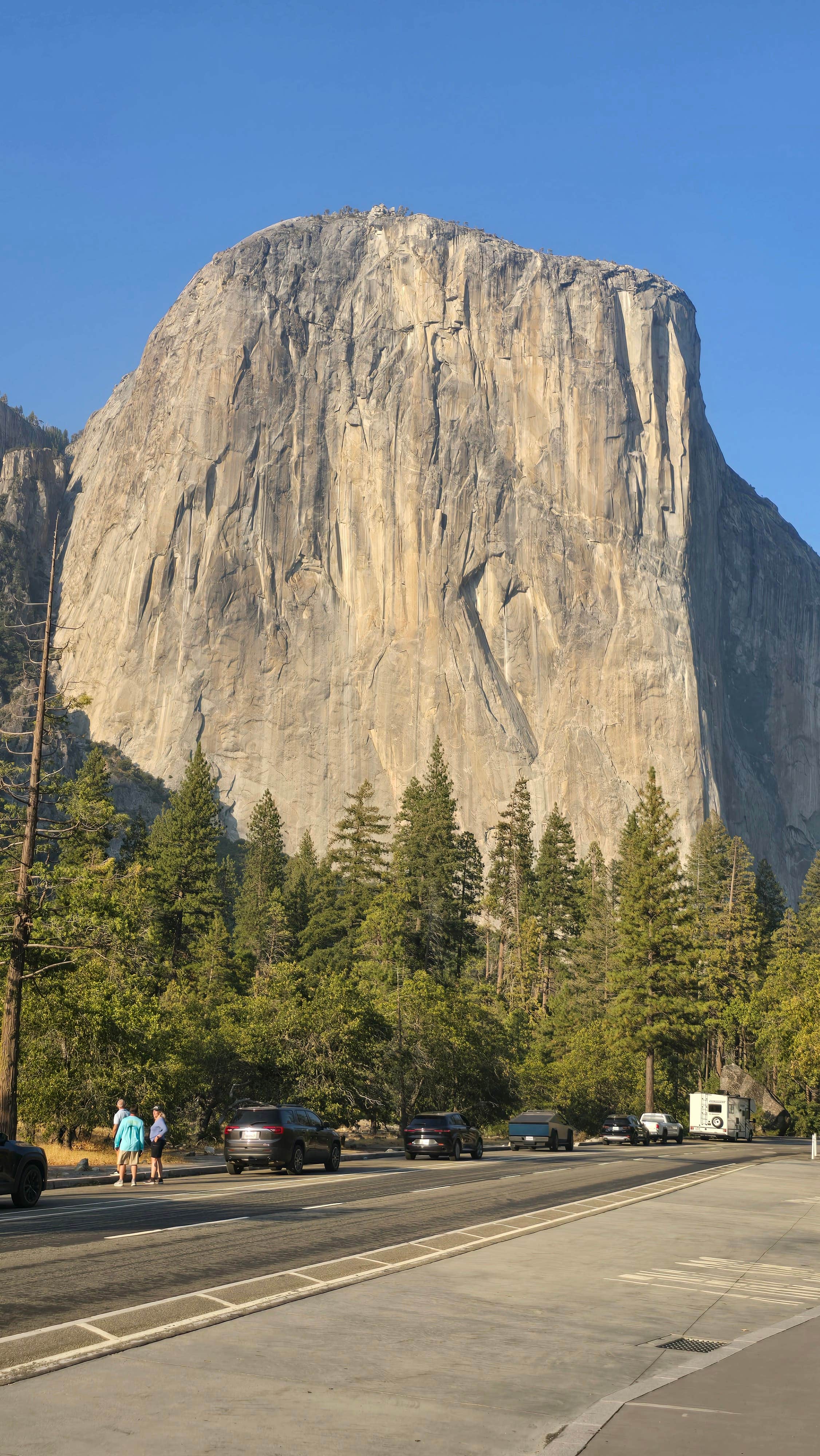 Camper submitted image from Crane Flat Campground - 2