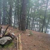 Review photo of Crane Pond Dispersed Site by Rebecca , July 9, 2026