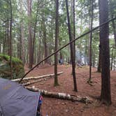 Review photo of Crane Pond Dispersed Site by Rebecca , July 9, 2026