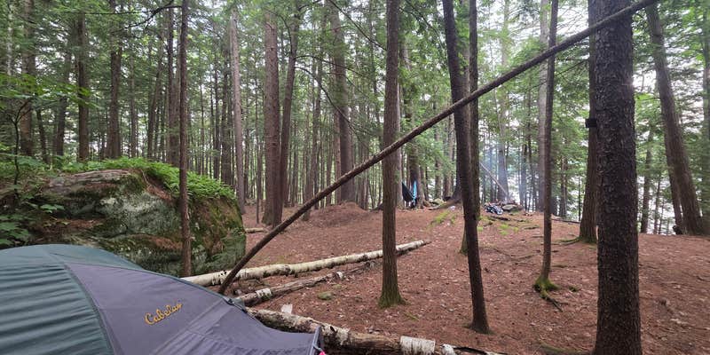 Camper submitted image from Crane Pond Dispersed Site