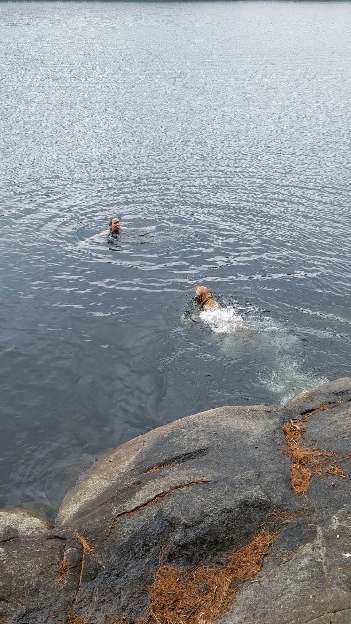 Sue B.'s photo of camping with pets at Crane Pond Dispersed Site near Adirondack, NY