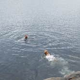 Review photo of Crane Pond Dispersed Site by Sue B., January 12, 2026