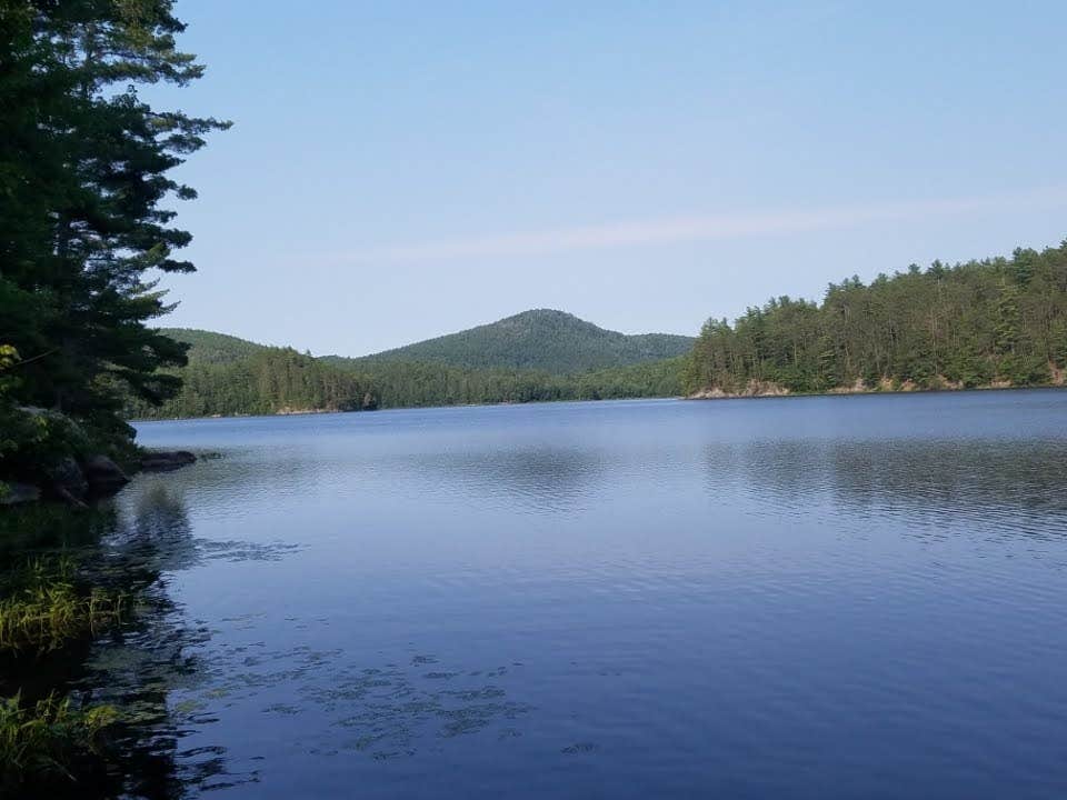 Sue B.'s photo of a dispersed camping area at Crane Pond Dispersed Site near Bristol, VT