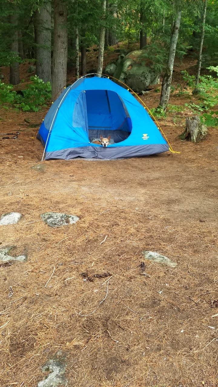 Camper-submitted photo at Crane Pond Dispersed Site near Minerva, NY