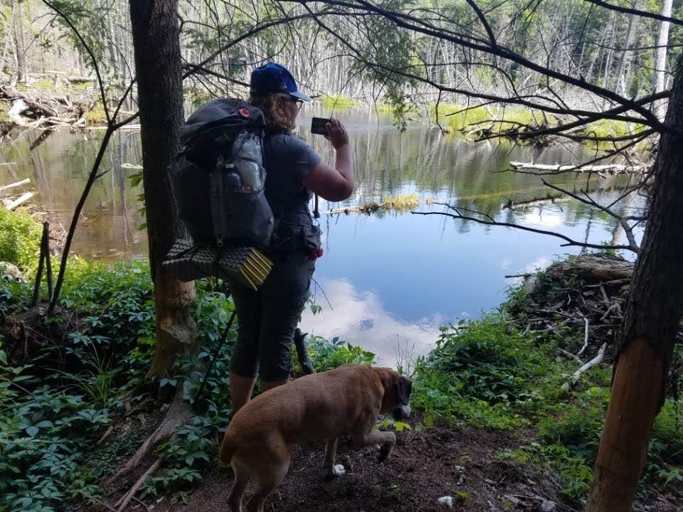 Sue B.'s photo of camping with pets at Crane Pond Dispersed Site near North Creek, NY