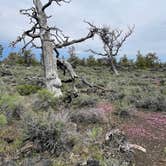 Review photo of Craters of the Moon-Arco KOA by Joel R., October 30, 2023