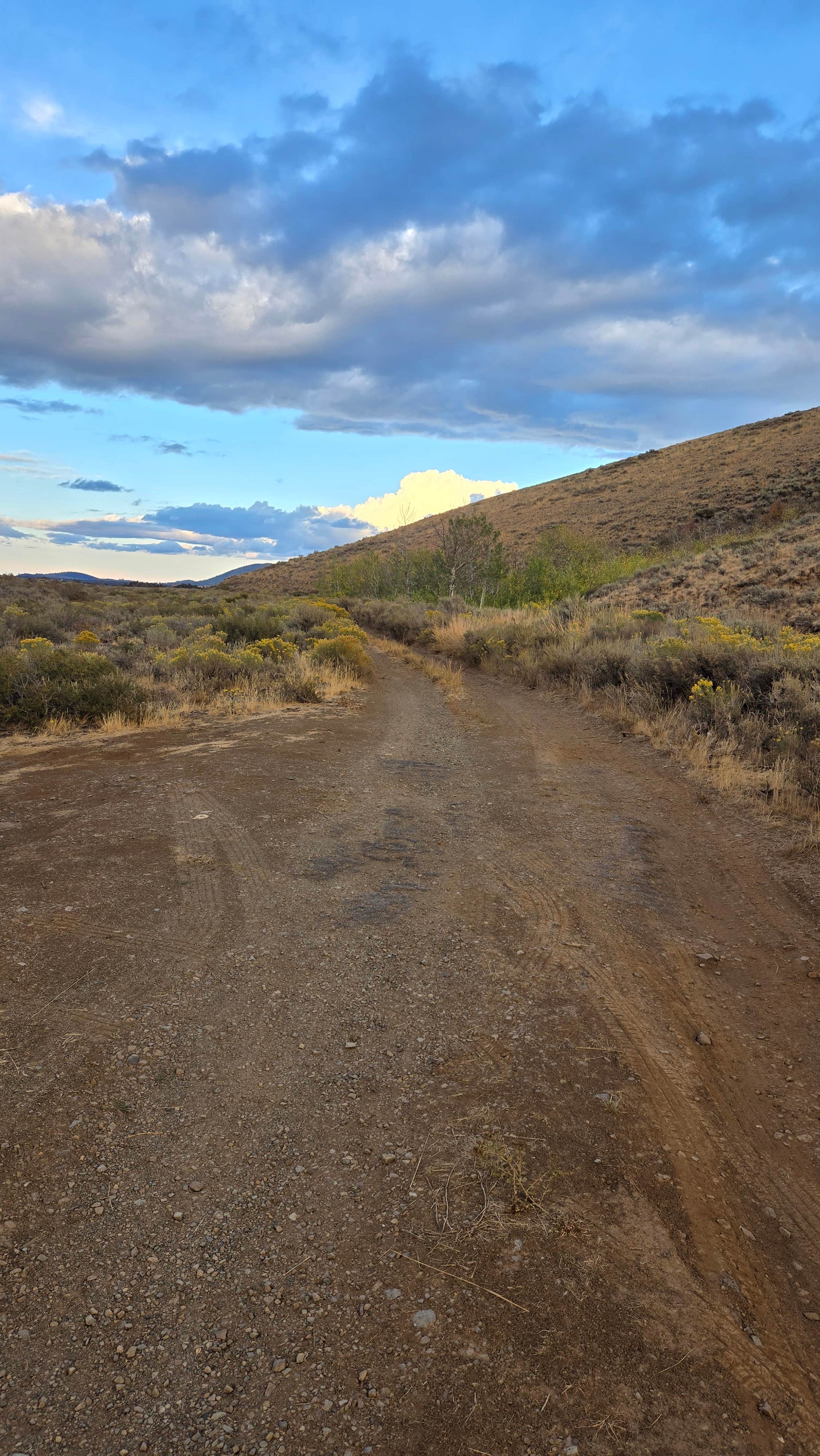 Camper-submitted photo at Craters of the Moon Dispersed near Craters of the Moon National Monument