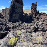 Review photo of Craters of the Moon Wilderness — Craters of the Moon National Monument by Paige P., July 31, 2025