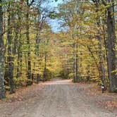 Review photo of Crawford Notch Campground by Marc D., October 16, 2025