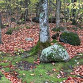Review photo of Crawford Notch Campground by Marc D., October 16, 2025
