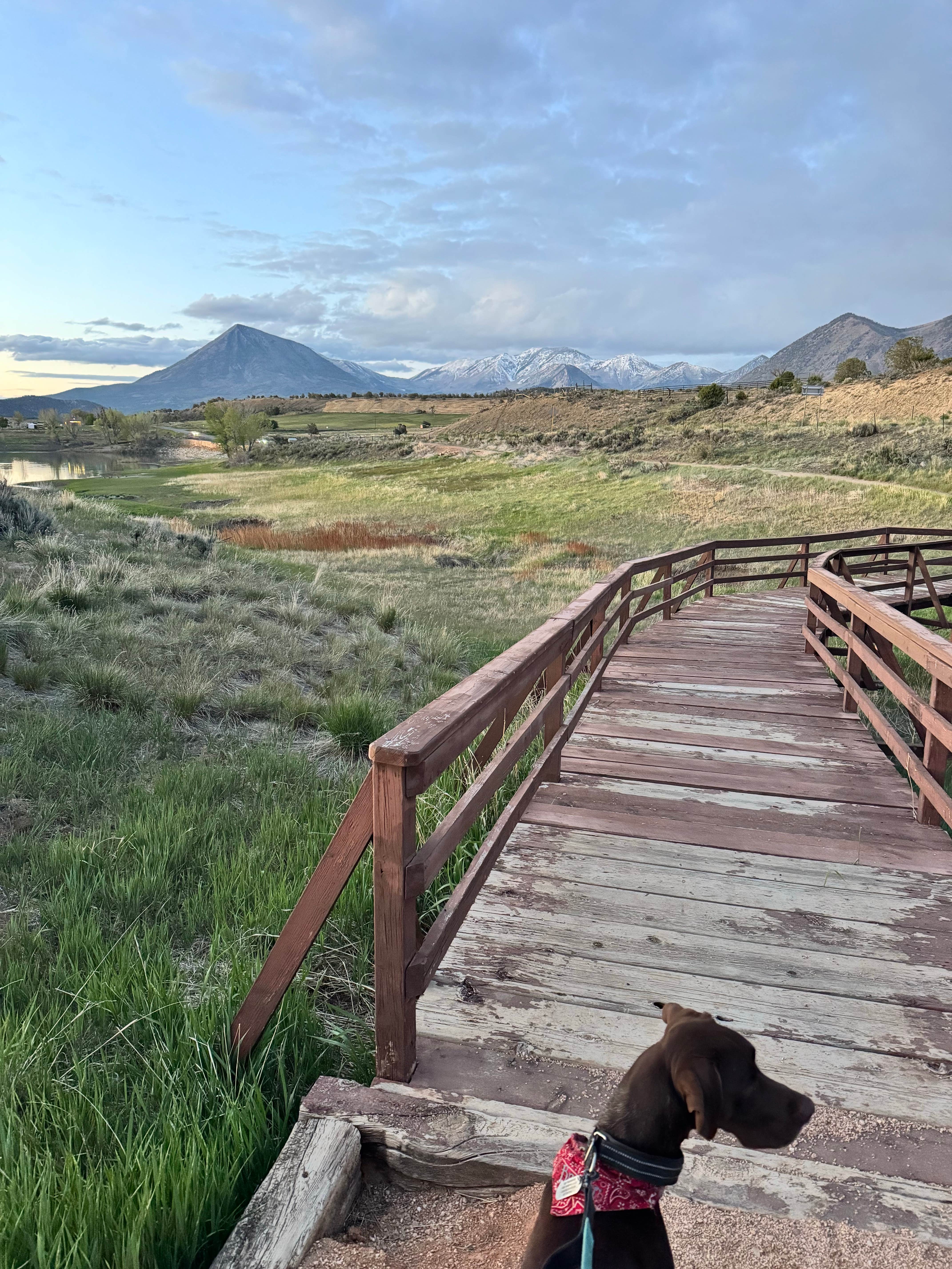 Reames C.'s photo of camping with pets at Iron Creek Campground — Crawford State Park near Curecanti National Recreation Area