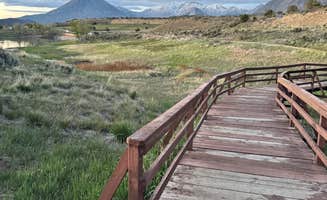 Reames C.'s photo of camping with pets at Iron Creek Campground — Crawford State Park near Curecanti National Recreation Area