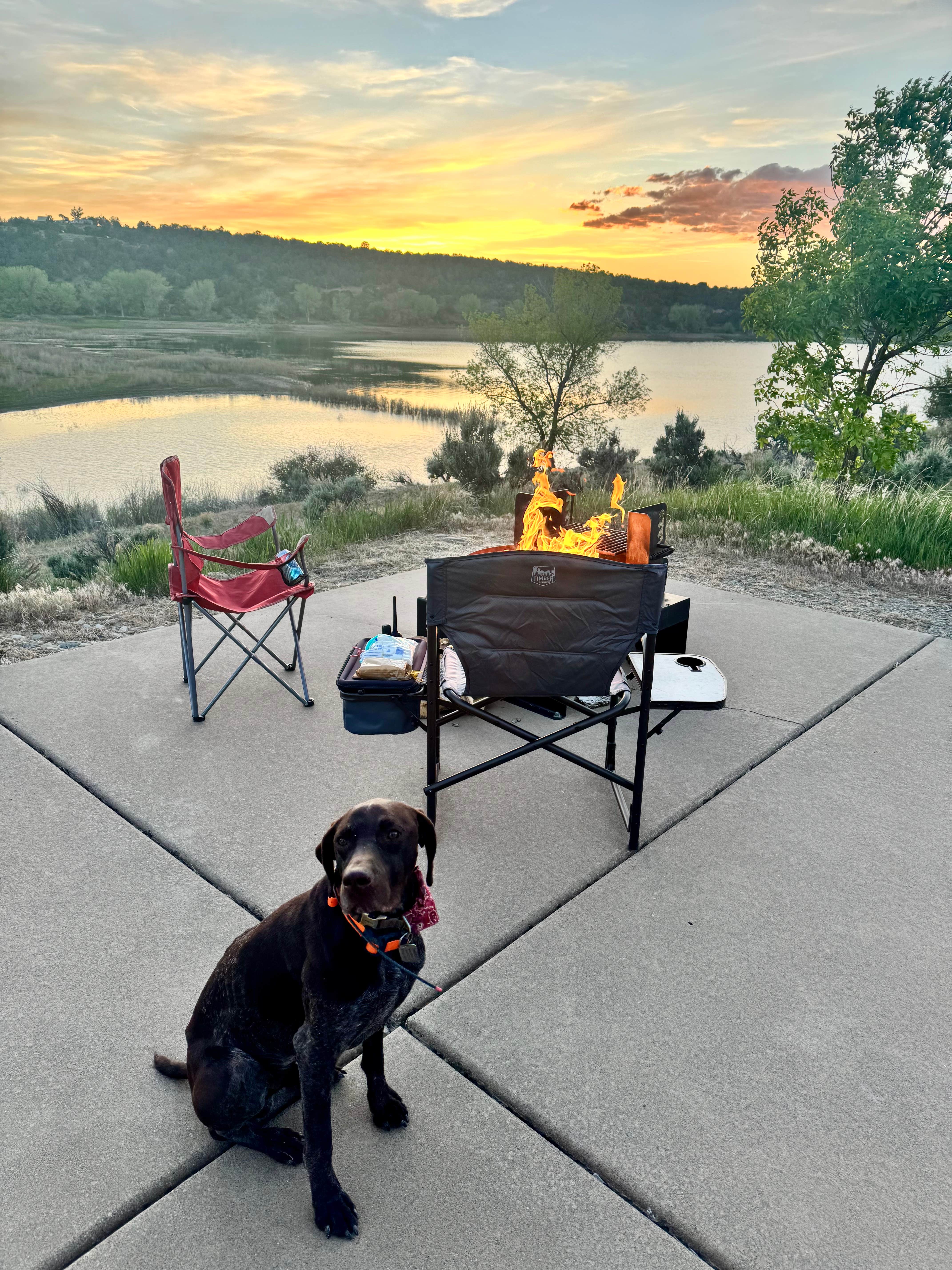 Reames C.'s photo of camping with pets at Iron Creek Campground — Crawford State Park near Montrose, CO