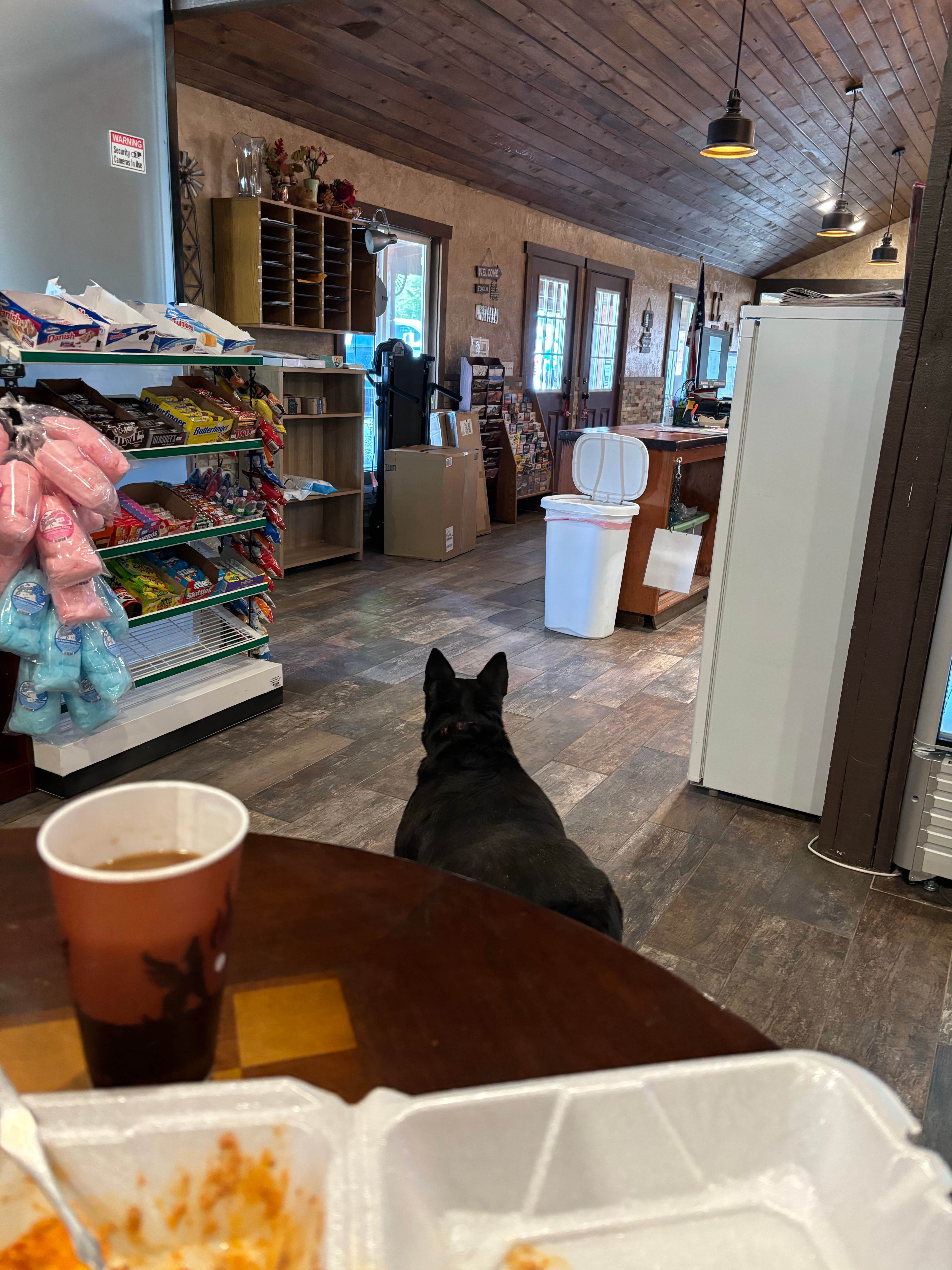 Hunter H.'s photo of camping with pets at Crazy Horse RV Resort near Kanab, UT