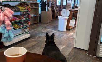Hunter H.'s photo of camping with pets at Crazy Horse RV Resort near Kanab, UT
