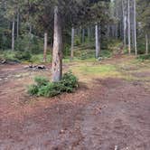 Review photo of Crazy Woman Canyon Road - dispersed camping by Denise N., August 17, 2026