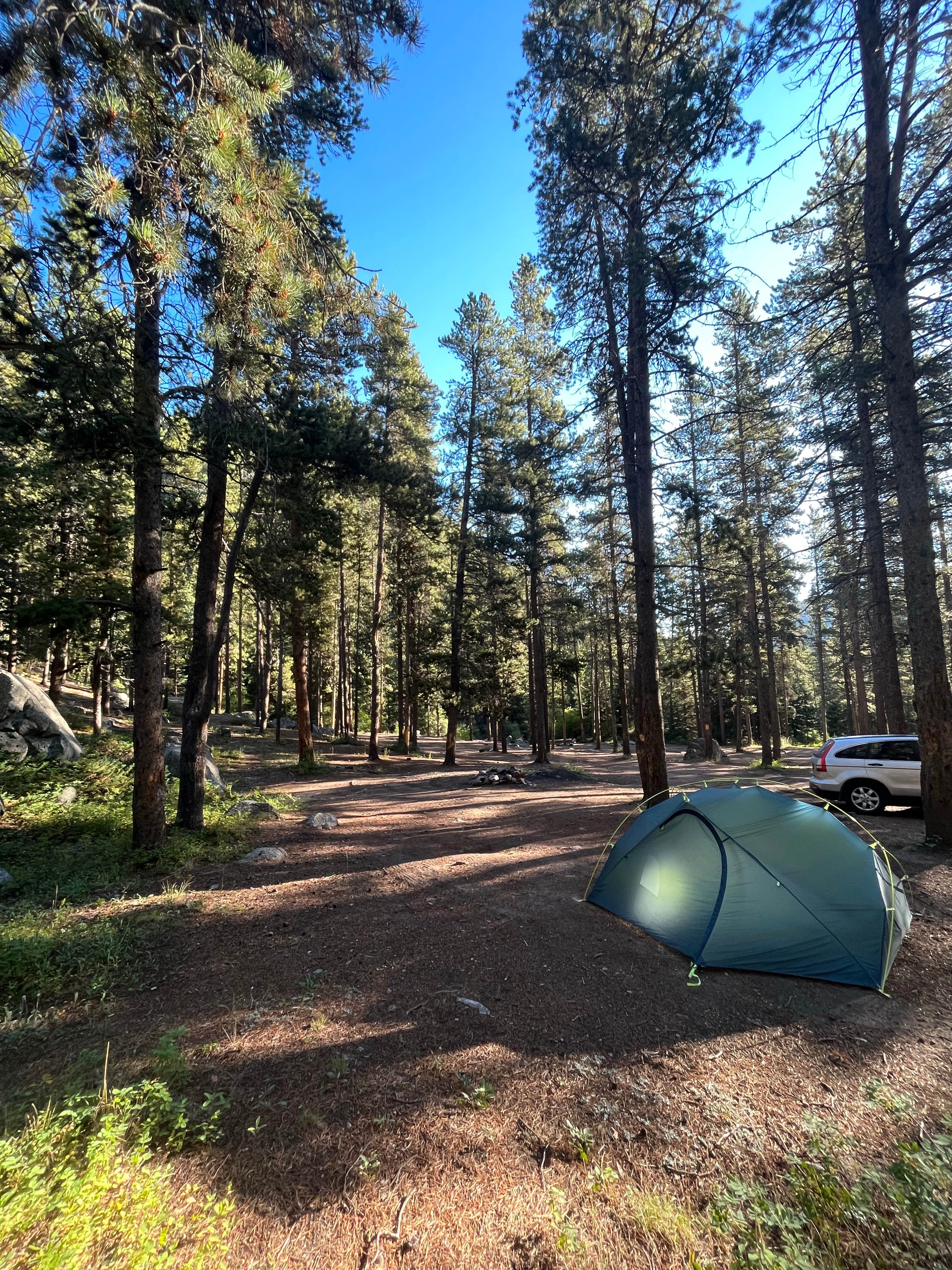 Sam S.'s photo of tent camping at Crazy Woman Canyon Road - dispersed camping near Bighorn National Forest