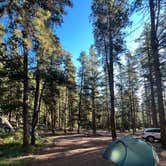 Review photo of Crazy Woman Canyon Road - dispersed camping by Sam S., April 30, 2025